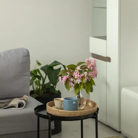 Ts Hello City Apartment Stettin Exterior foto